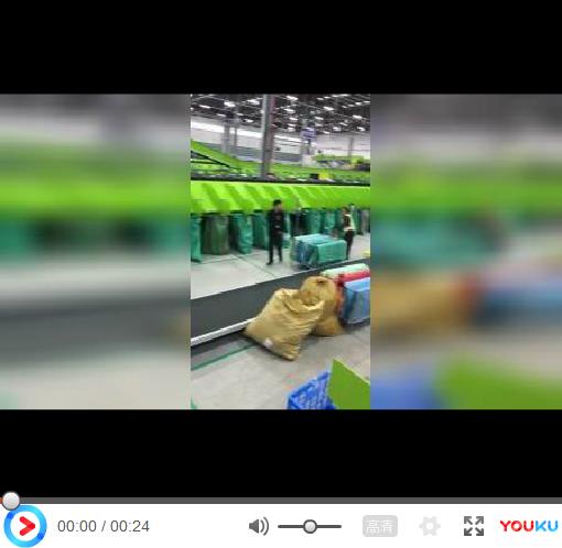 菜鸟网络双车双包分拣项目